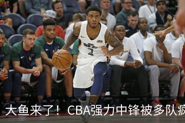 大鱼来了！CBA强力中锋被多队疯抢，或加盟广东队驰援杜锋？